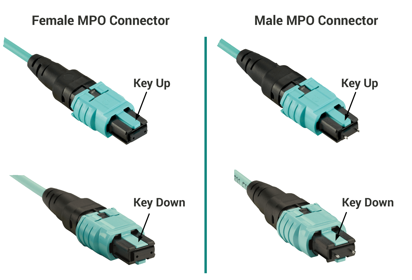 What Is MPO Cables And Connectors - Difference Between MPO And MTP