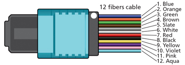 Structure of Fiber Rows in MPO Connectors.png